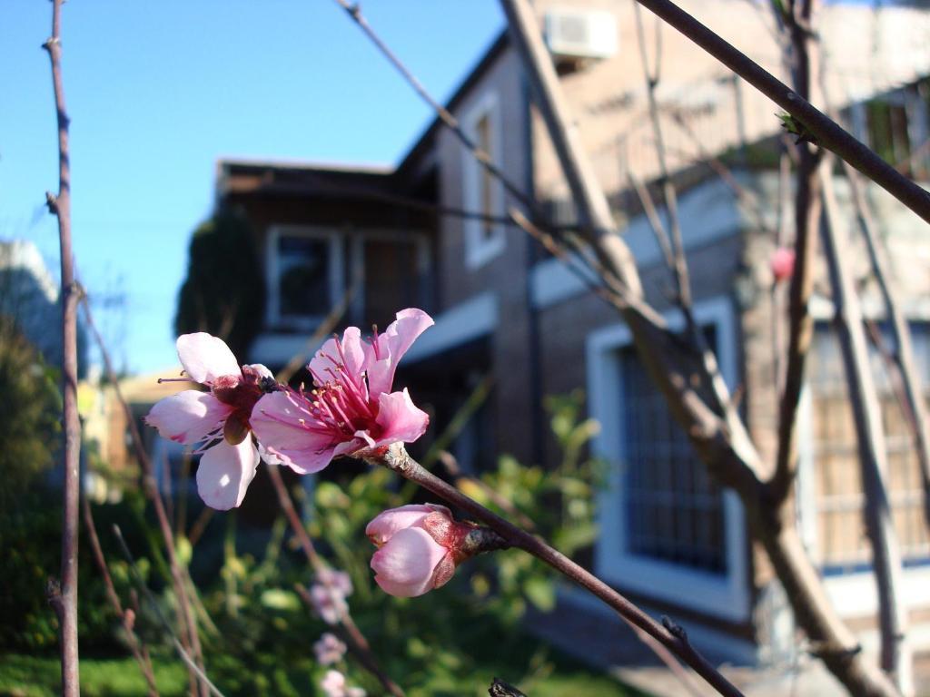La Demorada Bed & Breakfast ซานอันโตนิโอเดอาเรโก ภายนอก รูปภาพ