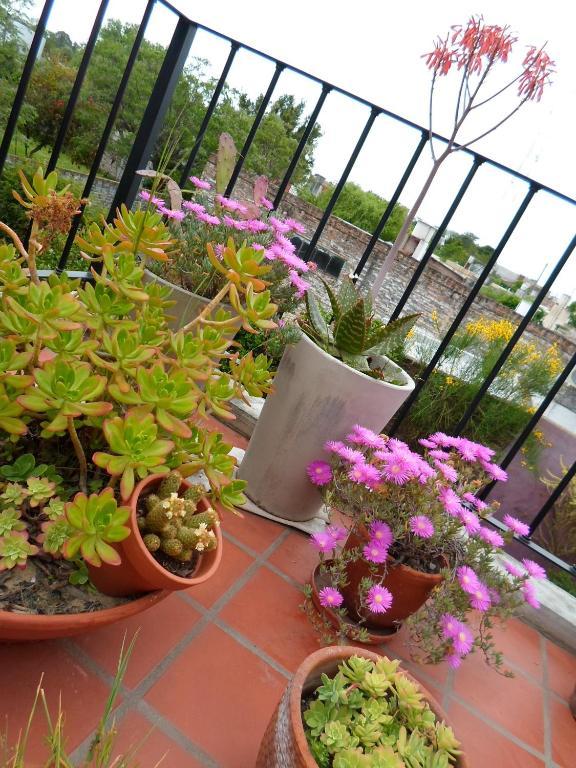 La Demorada Bed & Breakfast ซานอันโตนิโอเดอาเรโก ภายนอก รูปภาพ